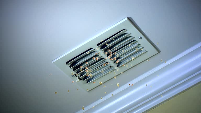Best Professional Duct Cleaning Services  in St Croix Falls, WI